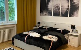 Studio Apartment Dandelion